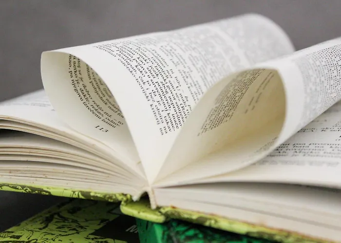 Fly In * Чилипи